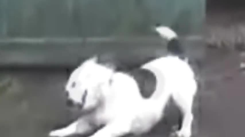 Mentions:  jesusisagoose verros anonchief kingoftheanonymous junifae bleachtaire  fjaggot wmmm twi ashadowguy mgsexplain deathklokiller silasersej nekubakeneko vzuse animedudej spoonerisms pcmihnea whaleegg  kingofunnyjunk reinbowxdash cooljason heartbleed 			**********		 keepyourselfalive blackanon myturbinmanprofssortwntyight bradleydoom vgmddg totallynotlegit omicronperseieight kharmelion dasbrot mcburd acemplas maestroxevous pinecest gmrain tripleskit jeezloxxy hexproof hiddenquail tehbomb streamdream spaceparadox xxkittypowaxx siodmy longchildjones lolbobsquarepaints kombee deadmanlopez mikimowse kodac zutraxsi karmanp jovanlisac wolfiet stingbourne ozkavosh sergife arott cisdroidcommander lehberga nikolaier fittetjuven fuperbooper insaneiare culinaryexplain nightmareshadez phoenixprince malachicthulhu ministermax gentlemantoast xtrem thevaulthunter theswagisreal khaoticonefear vexaton theguynamedme darthmaldude animedudej vortix leldatskool sergife thejammer keplerx warzon manananggal Shole tevansroskos animedudej defski knaiff demonbreadofnorth stardude sarcasmgasm neeeeee mrjweezy erikths plerp kriml diobrandolover supahsayin uifilms manananggal unfitninjuh doomeythekink ultiomos gazrick monkeybrains dbBlues ministermax captanyonomus ravemouse ipwnallnubz roxasftw lickmeforfree AWESOMEJANDRO mrsauce bossguycumsplash calvintroll severepwner alphagex nighthawxx lokkeduen kouzan hugovieira nekomimichan ledane chucknorrisisreal doblade boomerpyro norwegiansnowman doodooda upyourspal aerys stilch akulakhan xengard sirstupidpanda gloriouschad kightofnever whyheloitisijimble chinchulines warioteam shyyguy deadpoolrulez falcontreeko putinlover theseqceeman prtnchad stianan prohibullion mistermuppet MrKittyKat futaprincess donbionicle zoroso thecraftedmin bossguycumsplash spawnconnery jicajijipi xxkillaxx changedlater superpianobros bluslenderman awesomedoge MortalNME neppy xxkillaxx leondude auda epicbanjoman epicactual afrodemon onlylettersyousay tehbomb windbound manananggal mulk ymsinnmast cackrel mikasuh atonial thickfingers joekerr    
   
Reply here if you want to be added!    
   
Previous comp: /channel/dank-webms/Random+stuff+i+found+part+22+saxamophone/MnBfLZa/   
Bonus Comp: