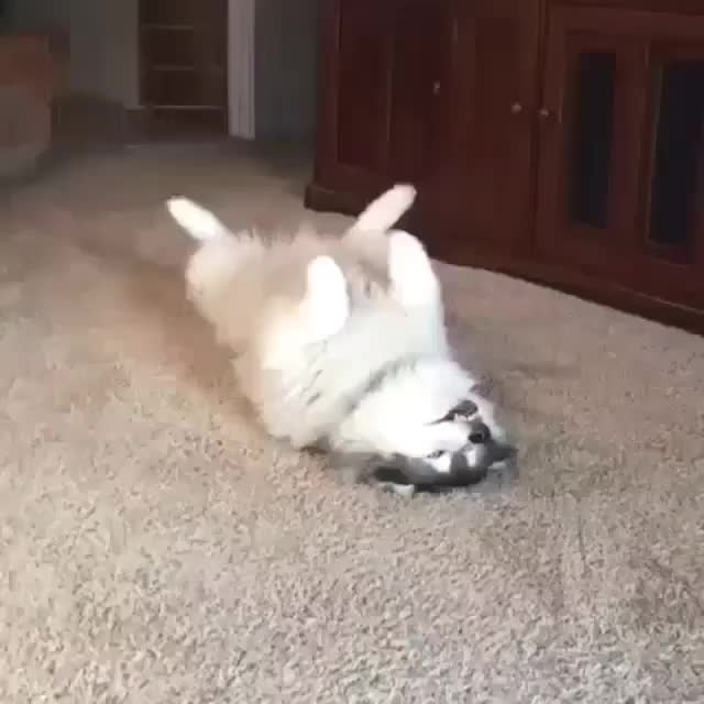 What do we have here?