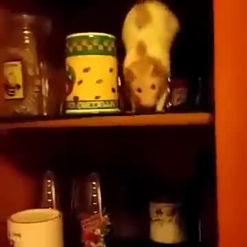 Holy 			****		 I lost it at the 			*******		 Mr. Moseby one.