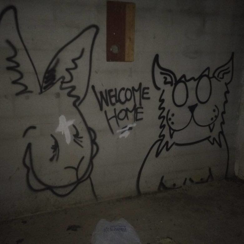 Abandoned stuff n' shit. An abandoned home in Virginia to start us off. hope you enjoy. All of these are (as far as I know) real, however the next comp might no