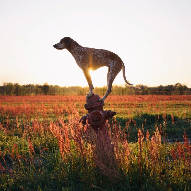 Adventure with best friend. .. I don't know why I did this, but anyway I did