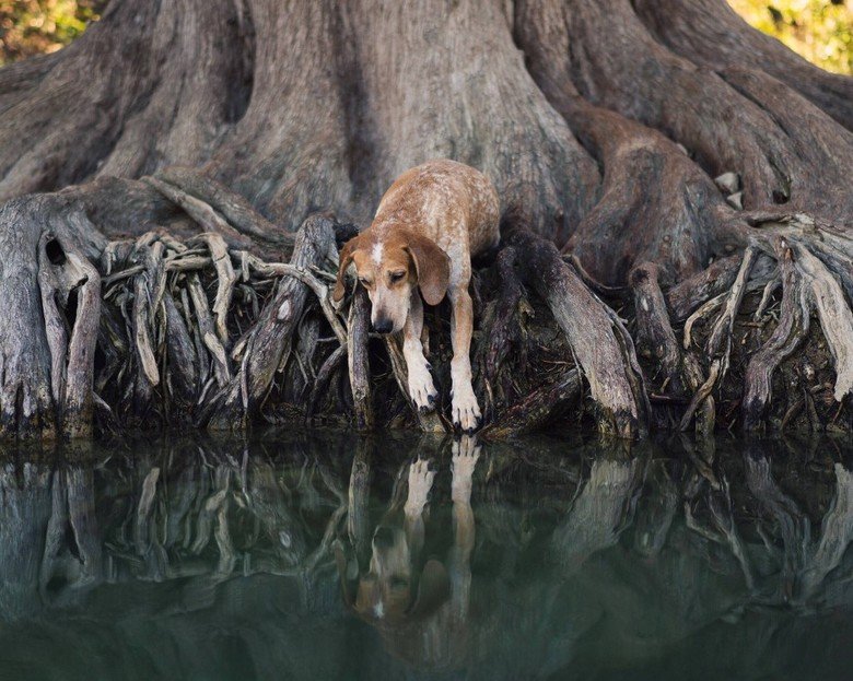 Adventure with best friend. .. I don't know why I did this, but anyway I did