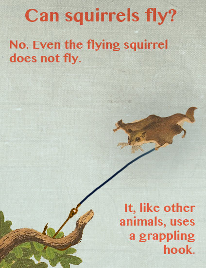 Animal facts comp. . q ivision the fanny pack.