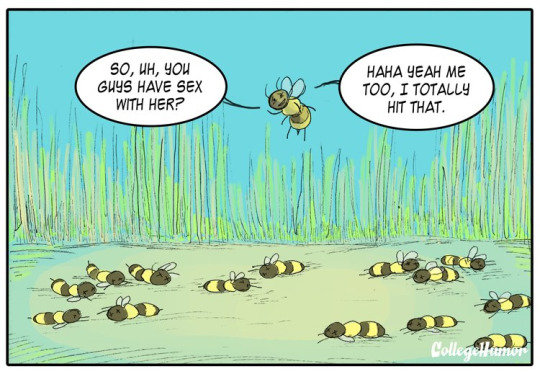 Animals are weird. .. Because approaching a woman and who don't deem you attractive enough will get you labeled creepy (And for a really long time, if you go to school/uni/college wi