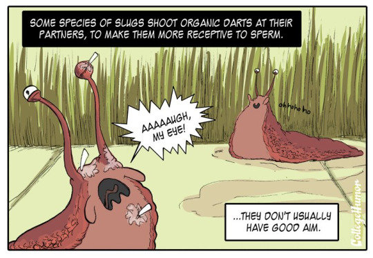 Animals are weird. .. Because approaching a woman and who don't deem you attractive enough will get you labeled creepy (And for a really long time, if you go to school/uni/college wi