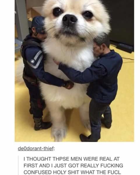 Assorted Internets #46. But in reality, there are no more parts on my profile and this is a lie Part 45 /Assorted+internets+45/funny-pictures/5763350/ Part 47 O