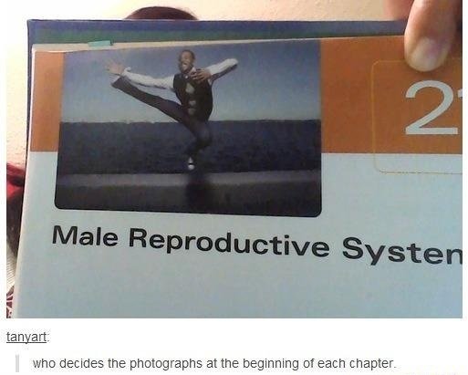 Assorted Internets #48. Previous Part /Assorted+internets+47/funny-pictures/5774601/ Next Part Out Tomorrow Subscribe for more. Internets. 95 percent of the world's oceans remain unexplored. That means there might be even bigger nightmares in the deep