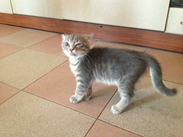 Majestic. .. 2nd one