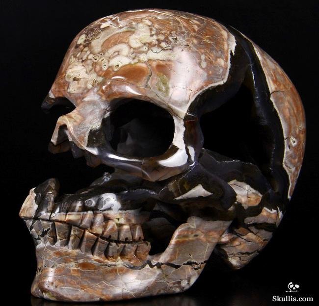 Y'all like druse and geode skulls, too?. Agate Agate Agate Blue Calcite Blue Chalcedony Dinosaur Egg Dinosaur Egg Dinosaur Egg Dragon Septaria Fluorite Geode Ag